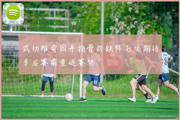 武切维奇因手指骨折缺阵七场期待季后赛前重返赛场
