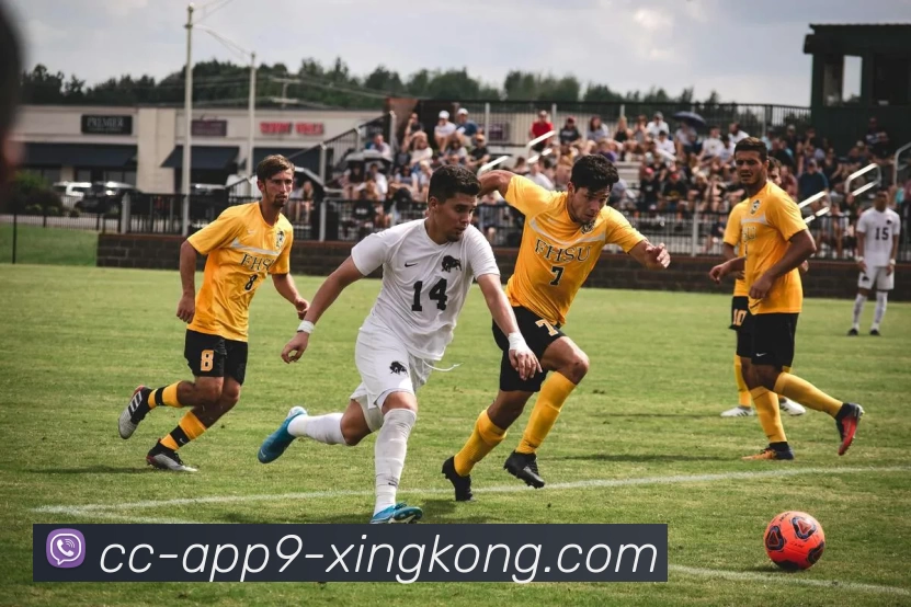 星空体育发展历程