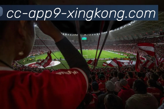 欧洲体育场冠名权价值榜揭晓伯纳乌以2110万欧元领跑并获3A评级