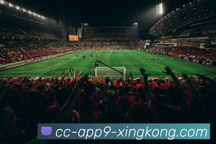 星空体育APP 封面图